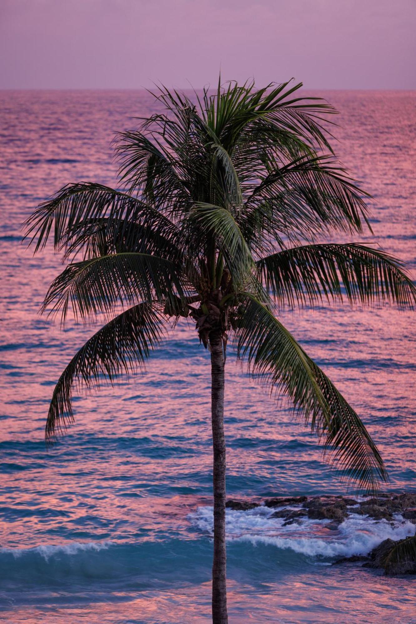 Sandals Barbados All Inclusive - Couples Only (Adults Only) Christ Church Luaran gambar
